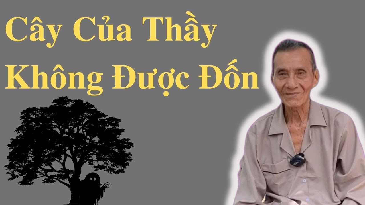 Ông Út Kể Chuyện Hay Cây Của Thầy Không Được Đốn | Ông Út Kể Chuyện