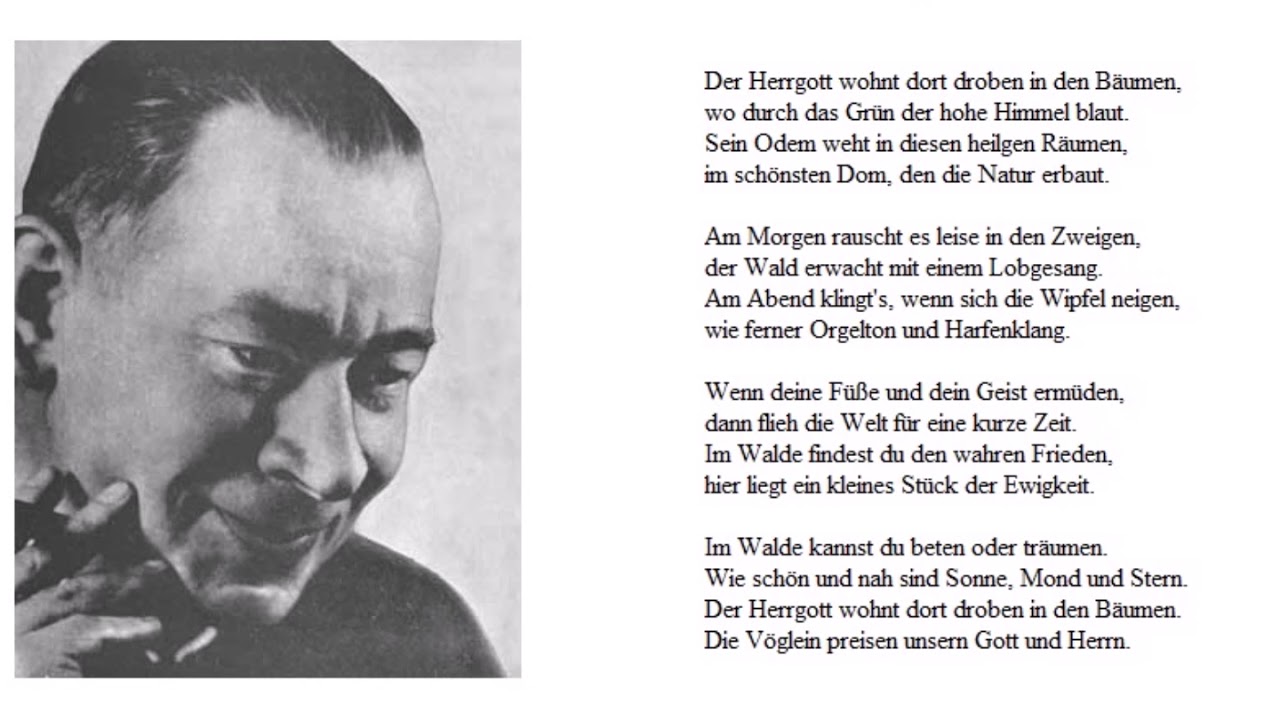 Der ewige Wald (Worte: Fred Endrikat) - Christoph Holzhöfer