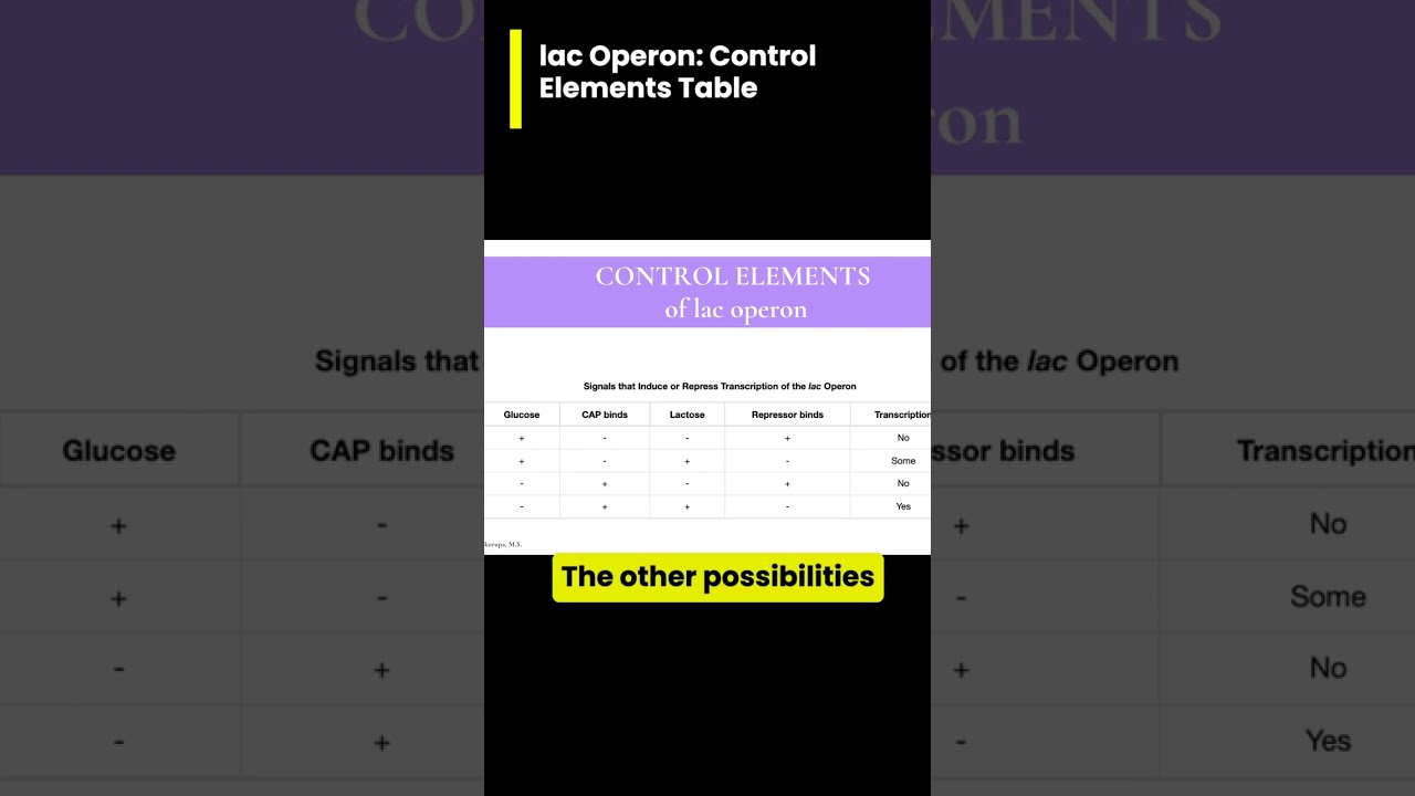 Lac Operon CONTROL ELEMENTS Table