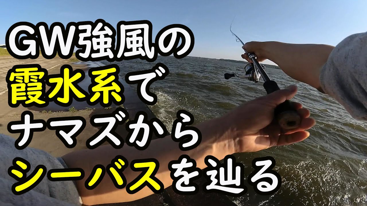 GW強風の霞水系でナマズからシーバスをたどっていく　－　霞水系・霞ヶ浦・北浦・鰐川・北利根川・外浪逆浦・常陸利根川【シーバス・バス・アメリカナマズ】－やまいぬ【釣りと歌】チャンネル