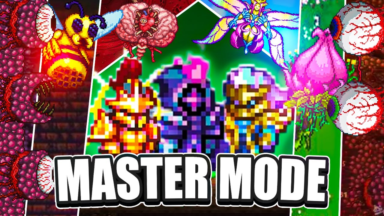 Elden Ring Players Beat Terraria Master Mode Full Movie.