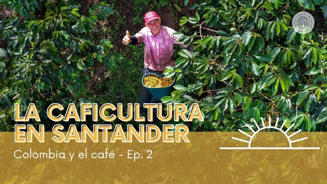 La caficultura en Santander: una historia de familia en el Socorro (episodio 2 - temporada 1)