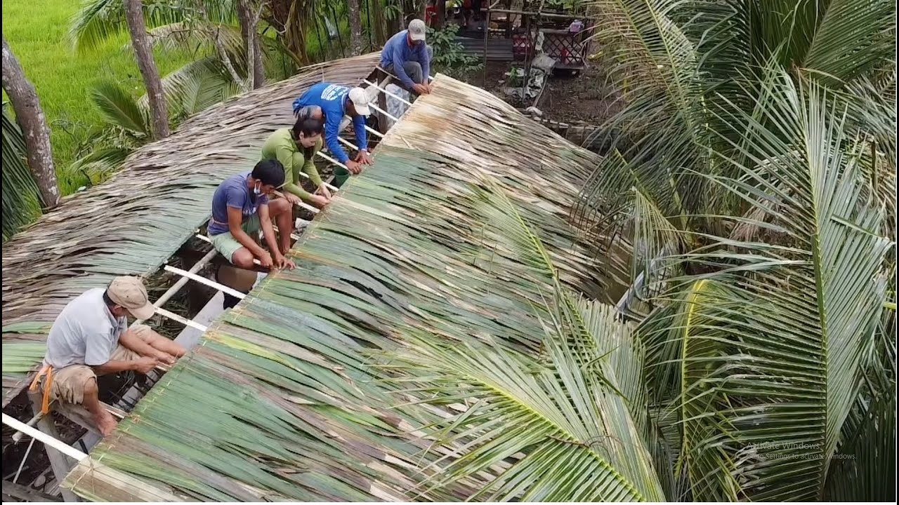 169 / Phụ Nữ Miền Tây Chầm Lá Lợp Nhà