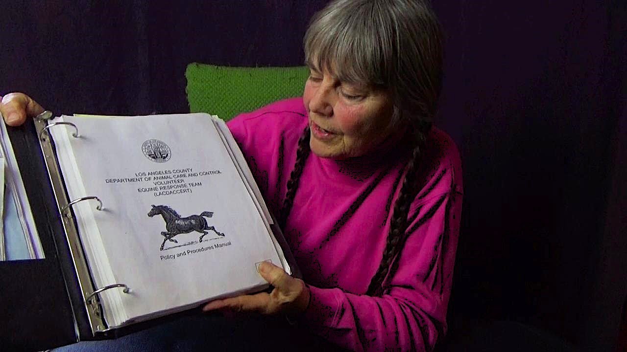 ASMR Sharing My Past Show and Tell With Photos