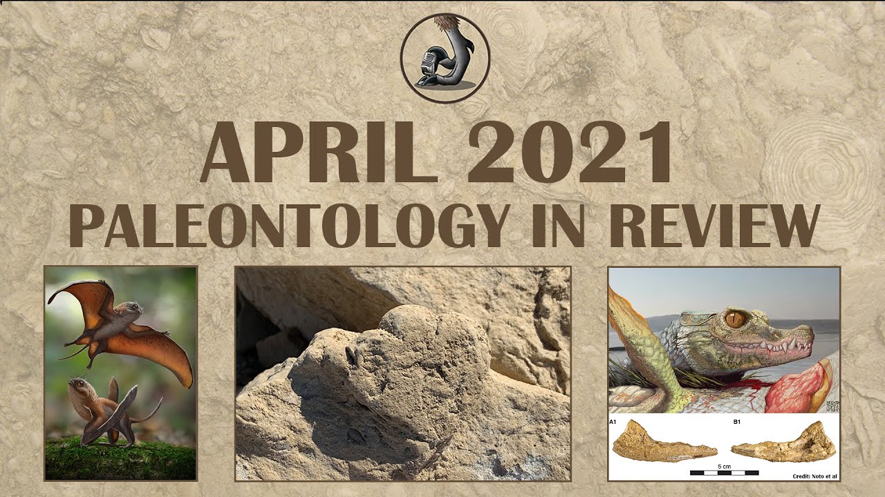 New Fossils and Paleontology- April 2021