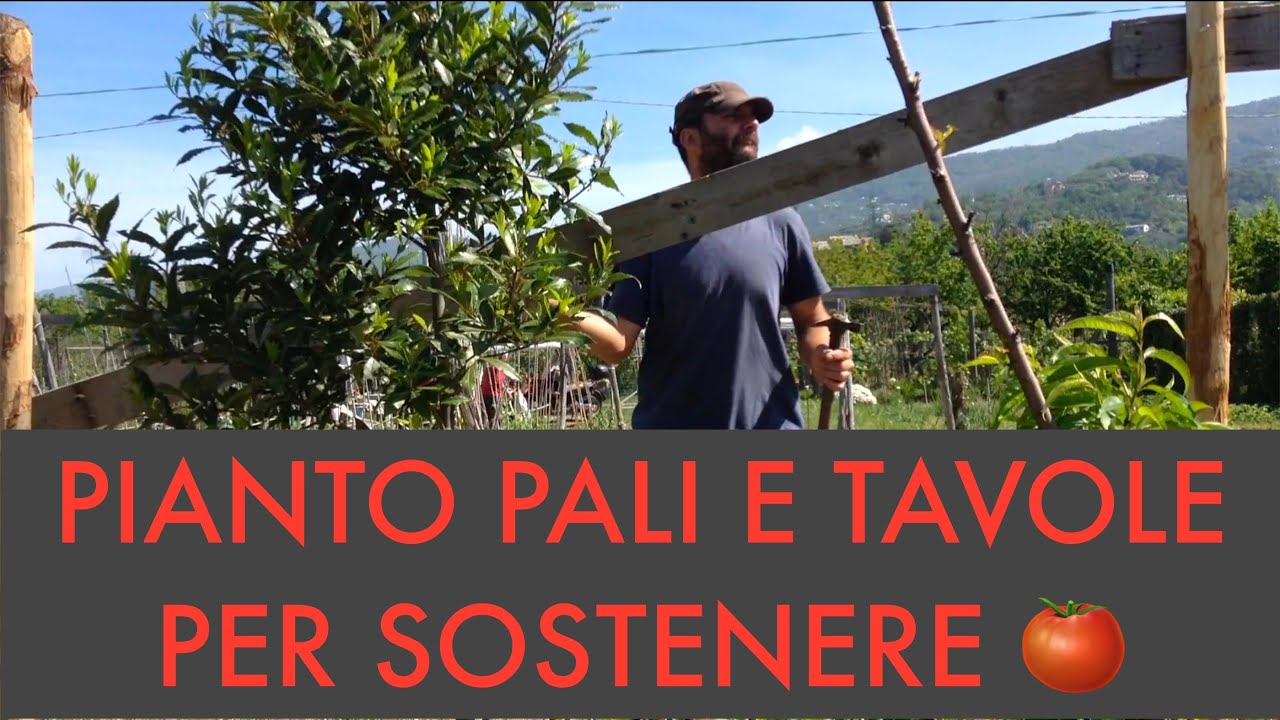 STRUTTURA ESTERNA PER SOSTEGNO POMODORI - pensare l' impianto e realizzarlo - Fresatura PASQUALI 996
