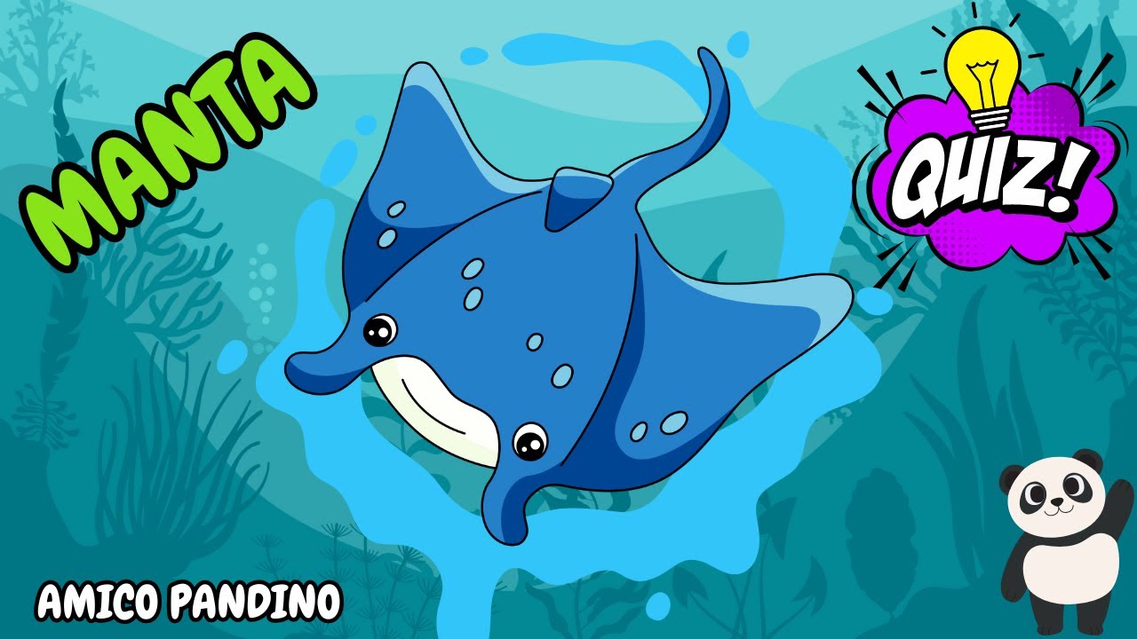 Animali per bambini - LA MANTA - Impara gli animali con Pandino - quiz animali - PESCI