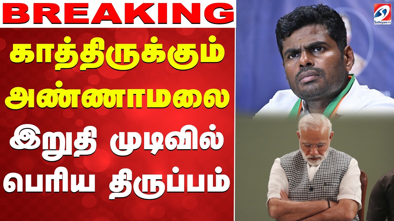 🔴LIVE: Annamalai | BJP | PM Modi | அண்ணாமலையின் இறுதி முடிவில் பெரிய திருப்பம்