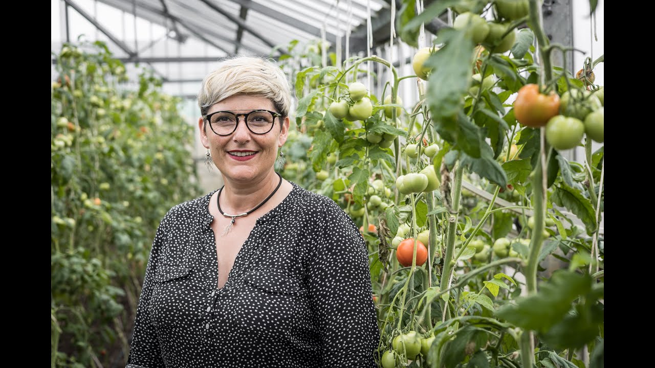 L'agriculture à Saint-Pierre-et-Miquelon, une filière en devenir