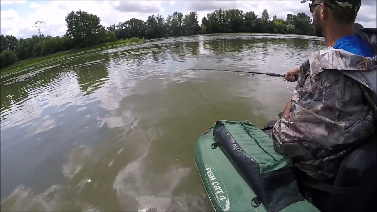 violentes attaques silures en surface au popper 