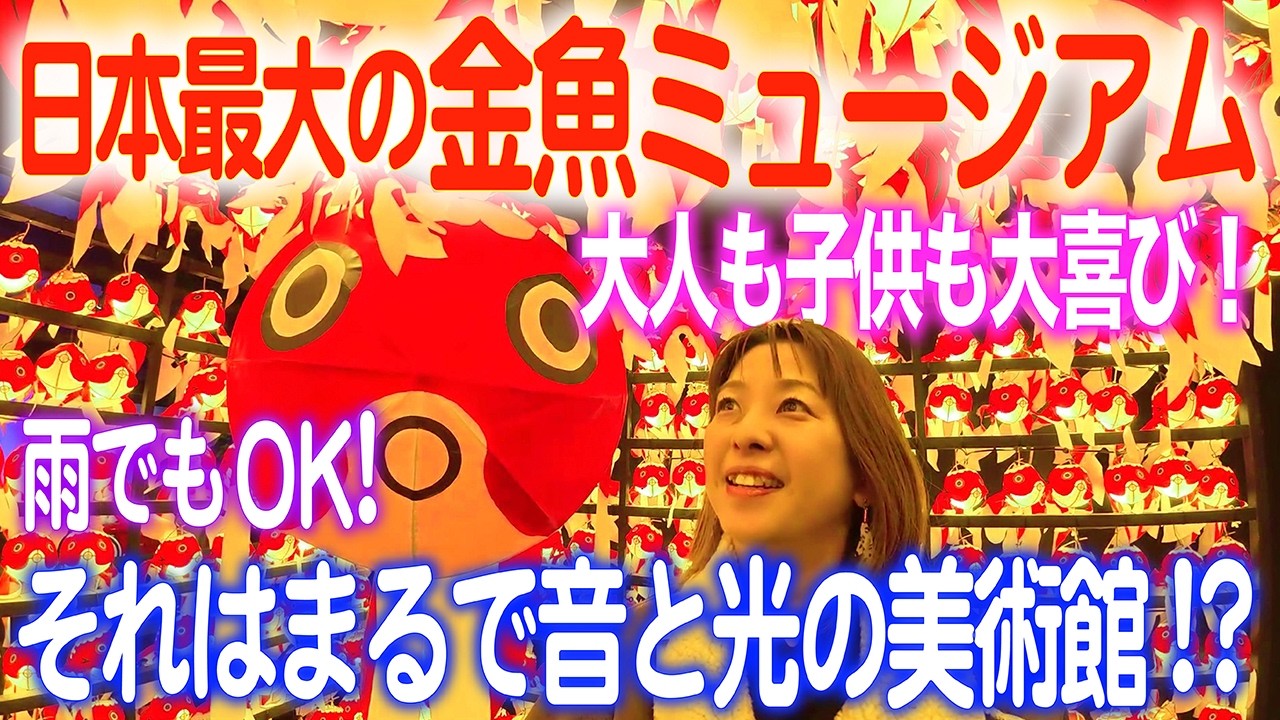 雨の日でもOKのおすすめ奈良観光！【日本最大級の金魚ミュージアム】想像を超える美しさにびっくり！まるで金魚の美術館!?Goldfish Art Aquarium