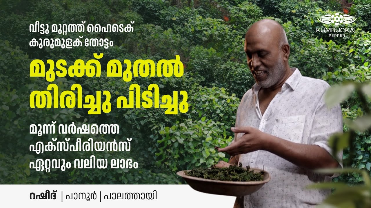 പരീക്ഷണം പൂർണ്ണ വിജയം, ഇനി കുമ്പുക്കലിന്റെ വലിയ പ്രൊജക്റ്റ് - Rasheed | Kumbuckal Farmer’s feedback