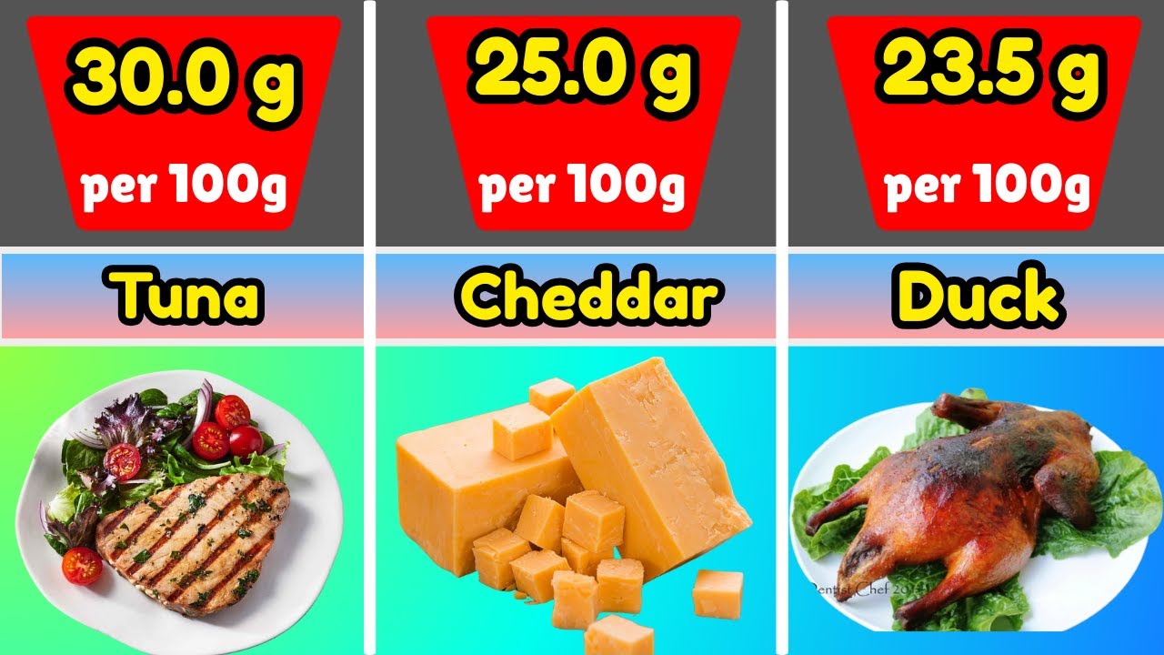 Highest Protein Foods in the World 💪🥩 | Top Protein-Rich Foods Ranked
