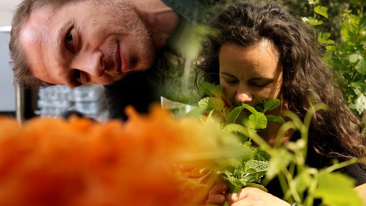 How this young couple built a chemical-free farm in rural Transylvania