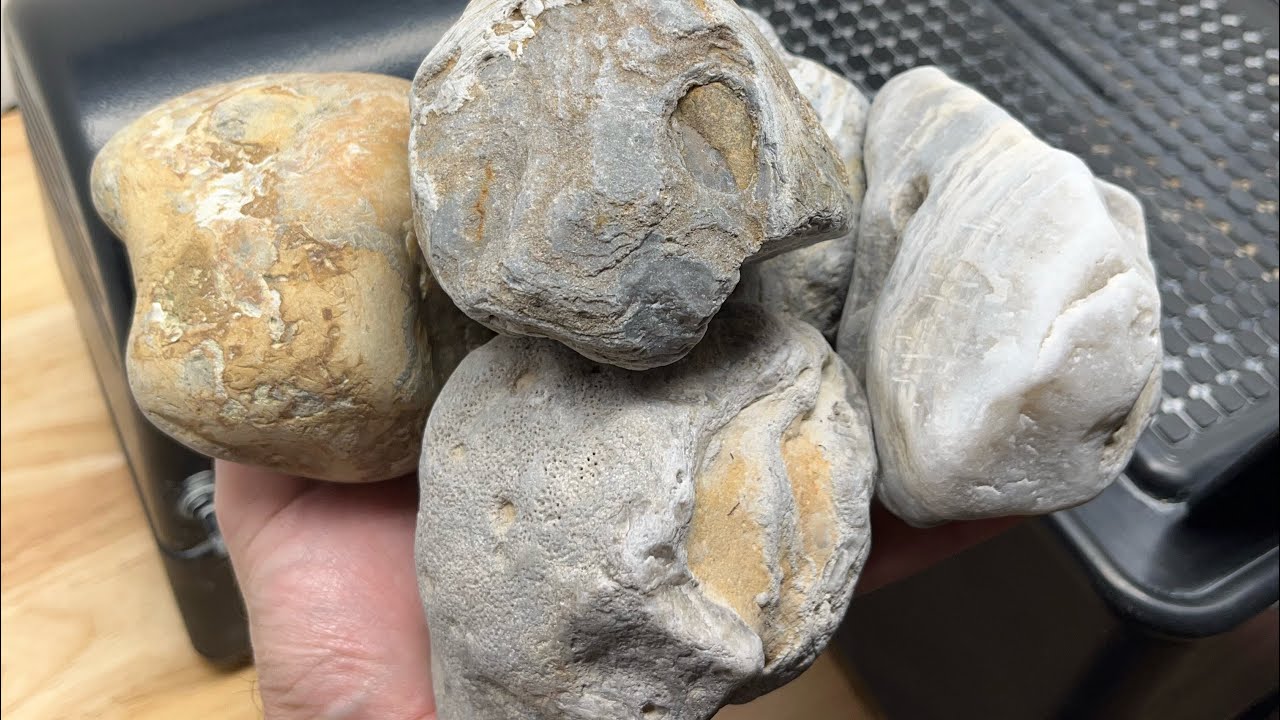 Cutting Rocks | 5 Big Stromatoporoids!