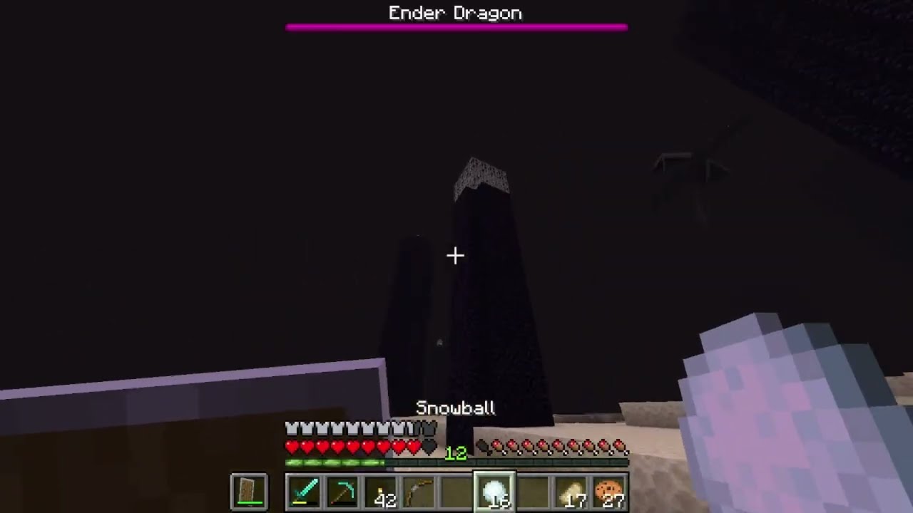 How Kiled the ENDERDRAGON