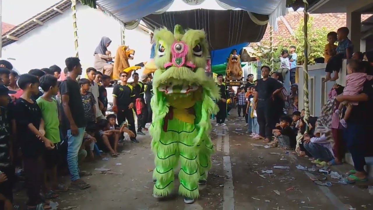 Atraksi Barongsai Butonk Cs Burok Sekar arum LIVE Sukajaya