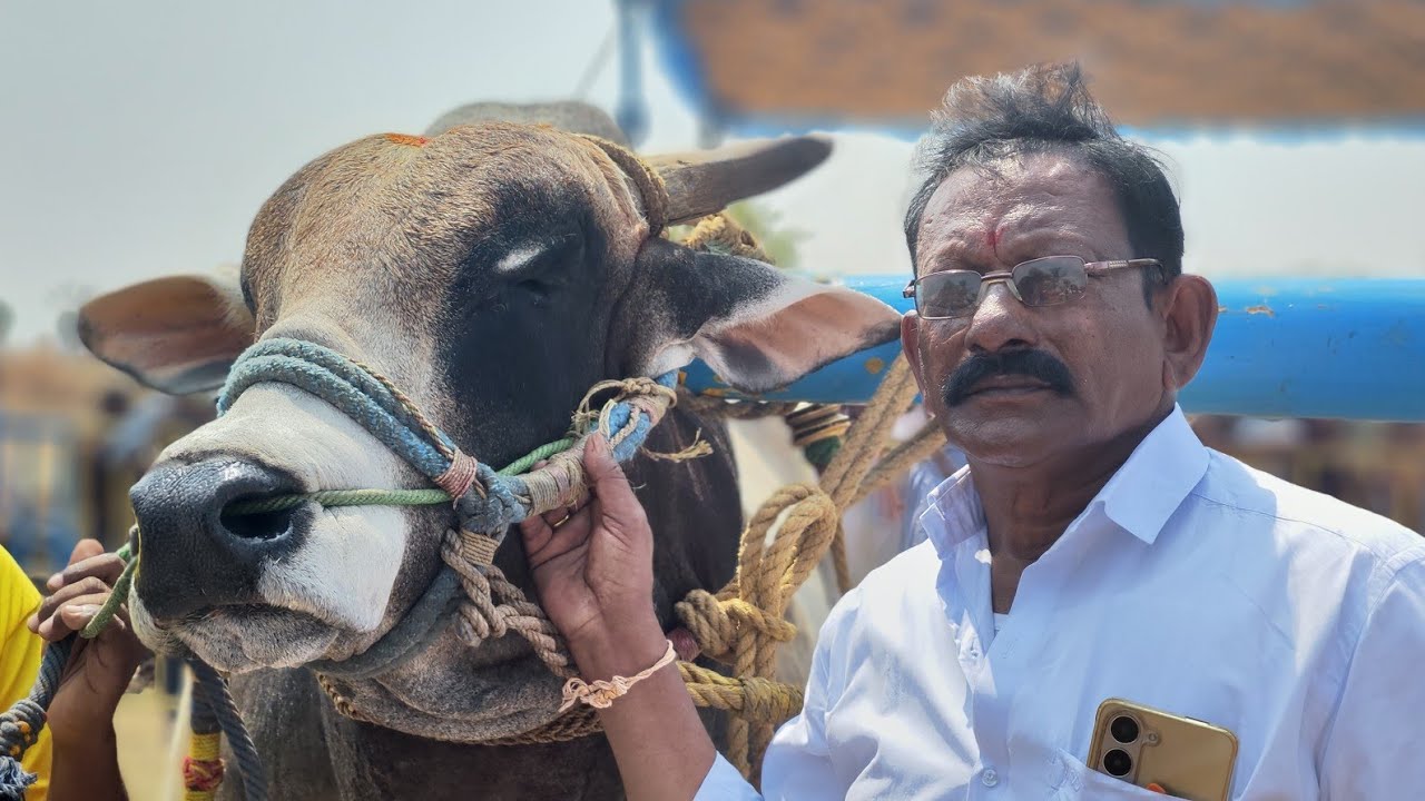అన్నమయ్య జిల్లా లక్కిరెడ్డిపల్లె మండలం అనంతపురం గ్రామం ఓల్డ్ కేటగిరీ 1వ జత 💥💥💥