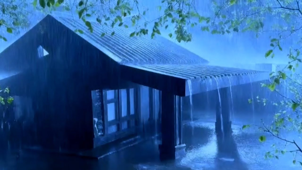 Cure Insomnia with Pouring Rain & Thunder Roaring on Corroded Tin Roof in Gloomy Forest at Night