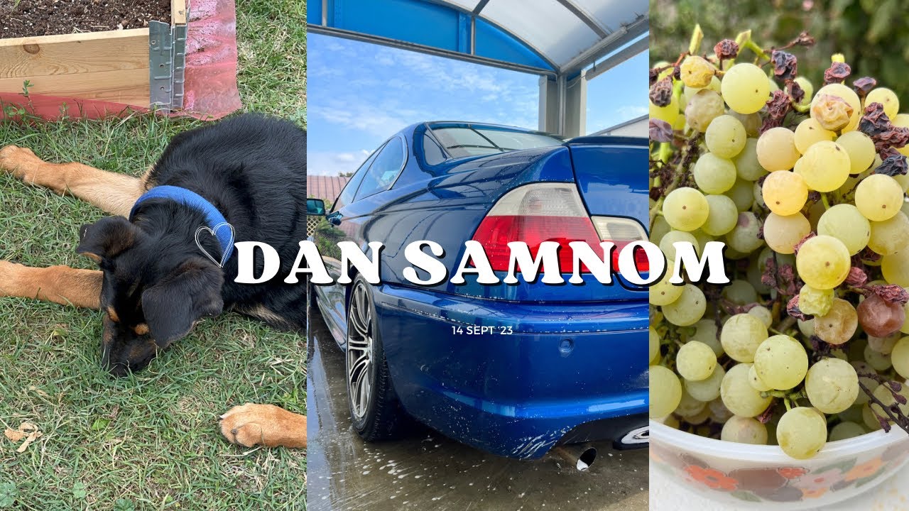 Dan samnom 🌦️ rad na selu💚