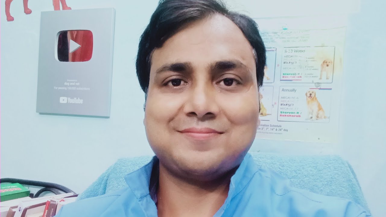 Ask your pet queries with Dr Mishra