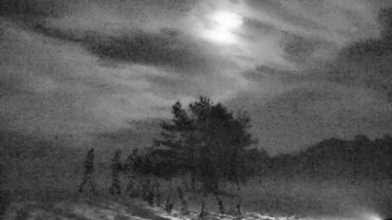 [untitled]