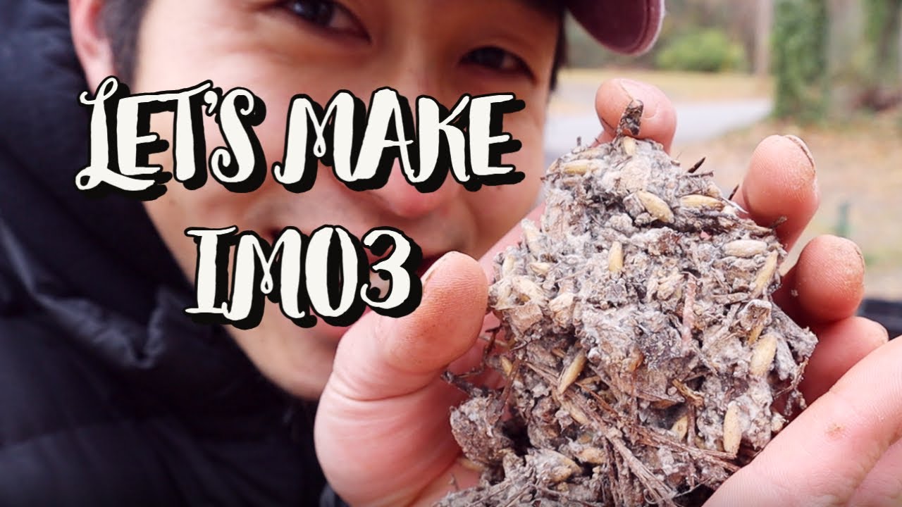 Let's Make IMO 3