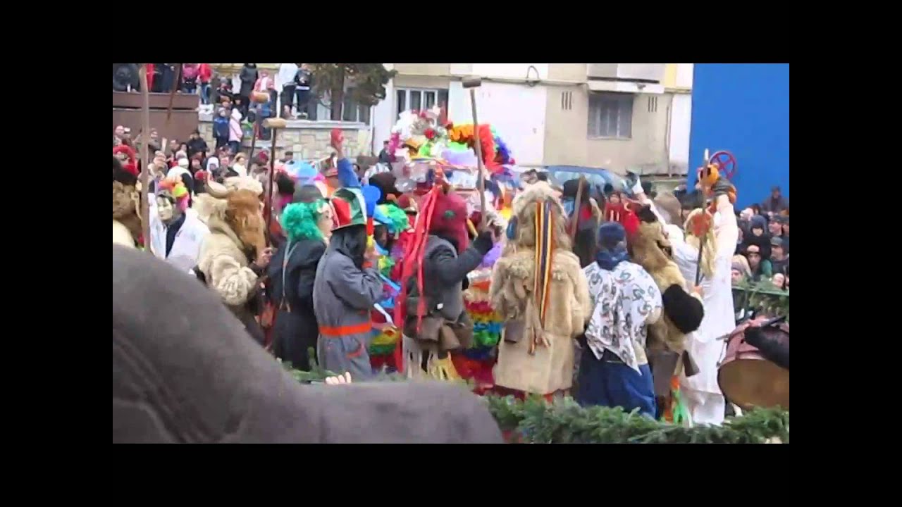 Capra din Barsanesti la Onesti - 2014