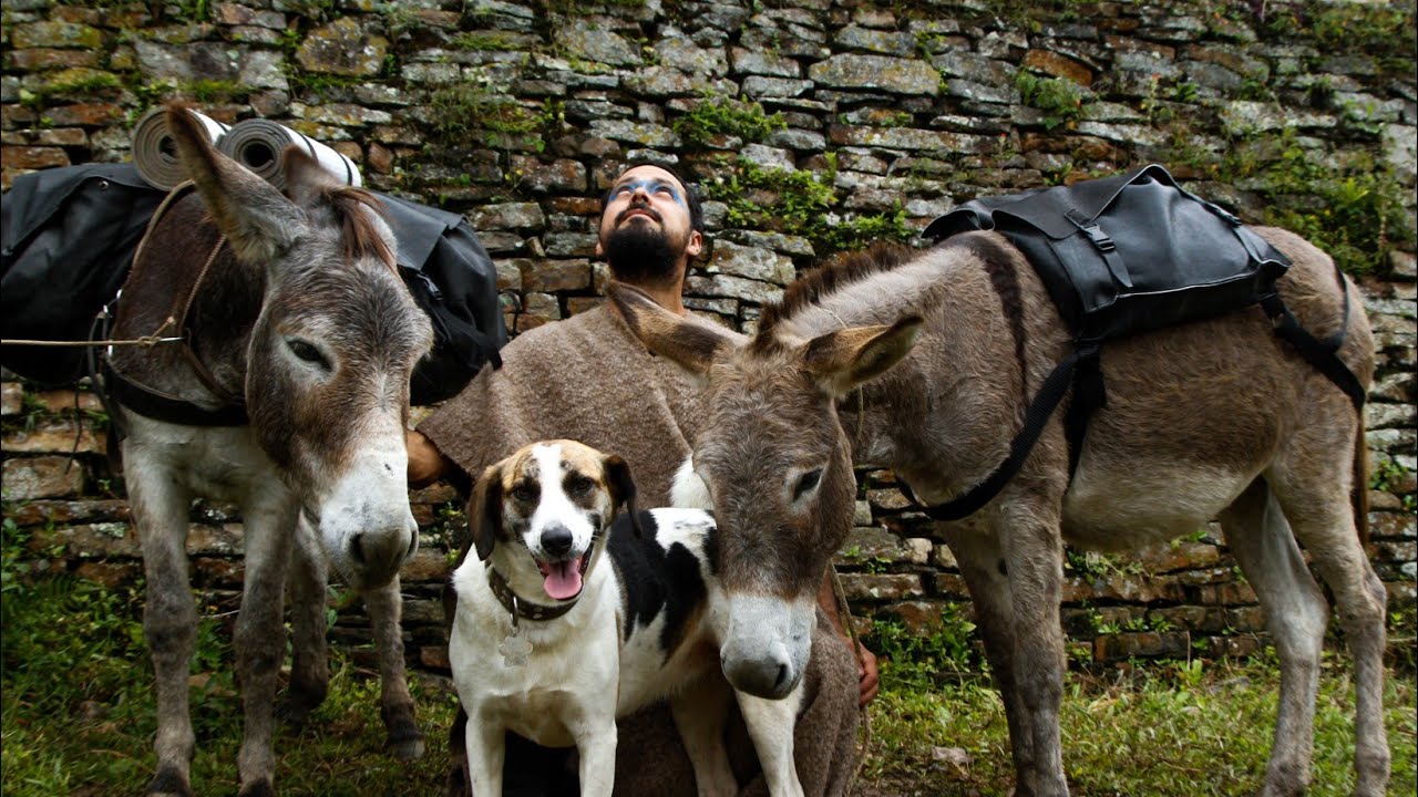 Anarcoestesis y la Caravana Interespecie 