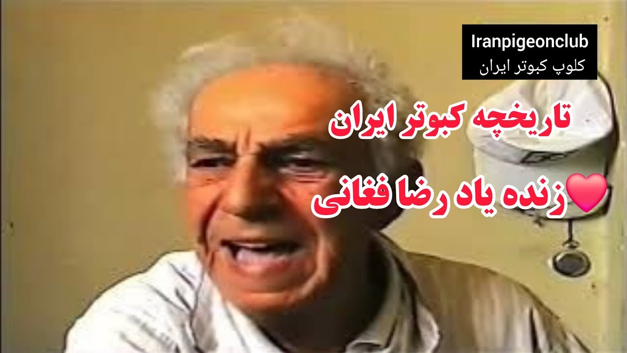 ❤️تاریخچه کبوتر بلند پرواز ایران از زبان مرحوم رضا فغانی(رضا باشی) iranian high flyers pigeon 