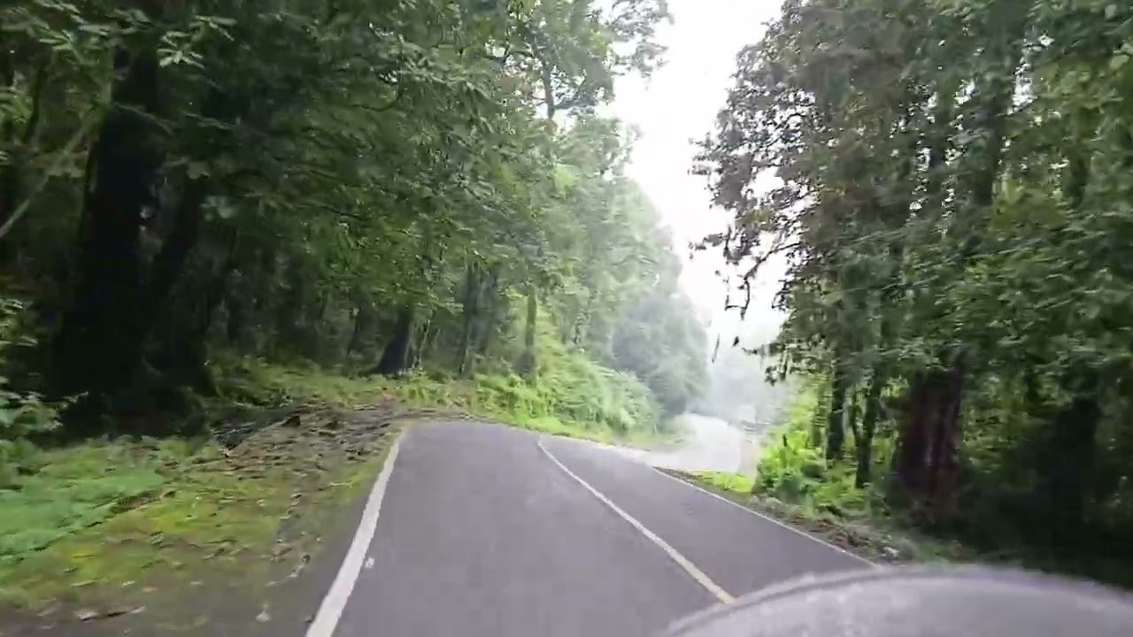 Pulang dari sembalun : Penanaman bawang putih | RIPH
