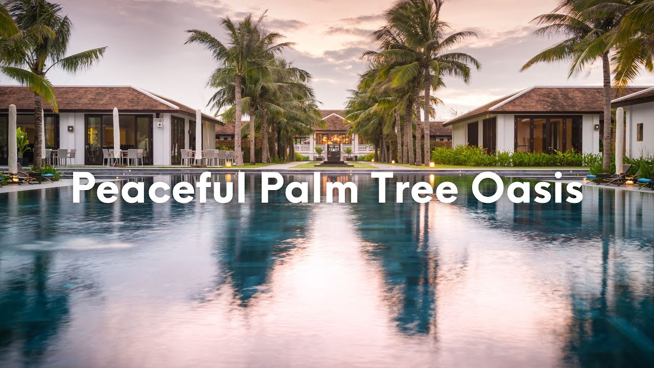 Peaceful Palm Tree Oasis: Lofi Chill Dance Music for Outdoor Poolside Vibes
