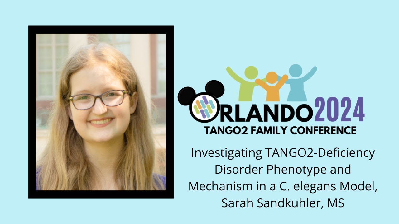 Investigating TANGO2-Deficiency Disorder Phenotype and Mechanism in a C. elegans Model