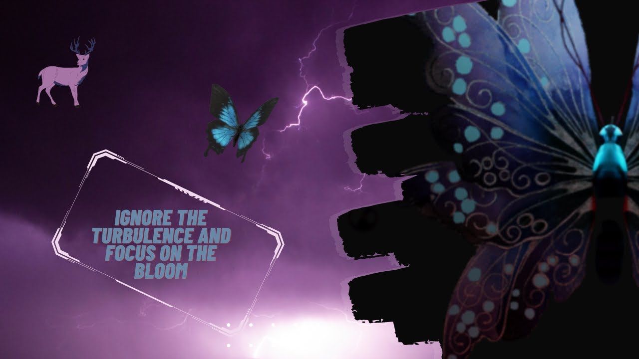How you could maximize your profits with Bloomify