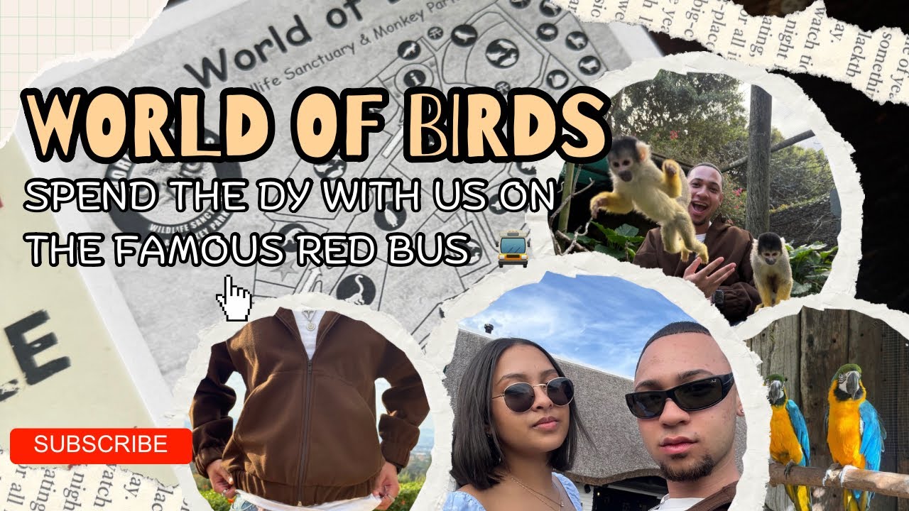 SPEND THE DAY WITH US ON THE RED BUS (we went from Cape Town to Houtbay!) 🚍🥹