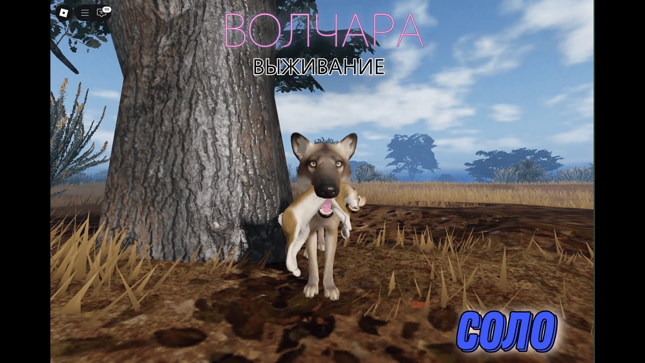 ВОЛЧАРА. СОЛО ВЫЖИВАНИЕ. Ecos la Brea (roblox)