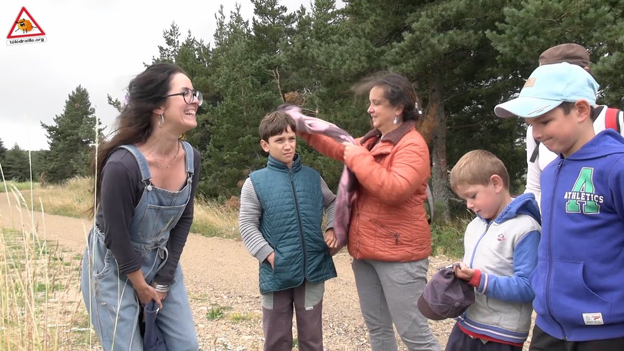Balades botaniques au Mont Lozère avec Racines de Terriens