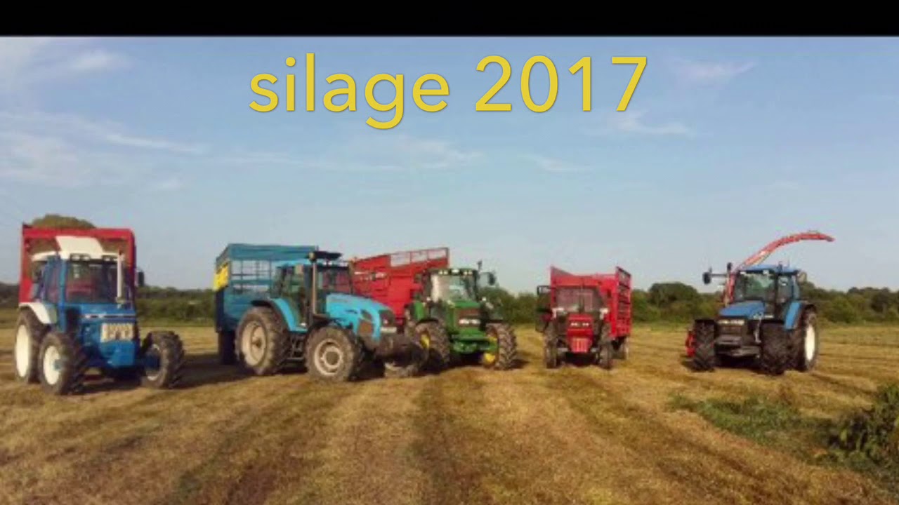 Silage 2017 airport road waterford
