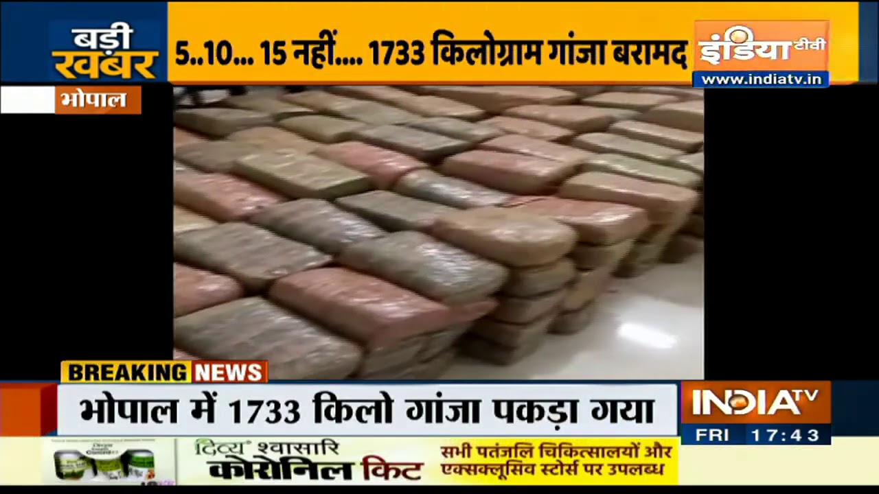 MP: भोपाल में 1733 किलो गांजा पकड़ा गया, कार्रवाई में एक आरोपी गिरफ्तार