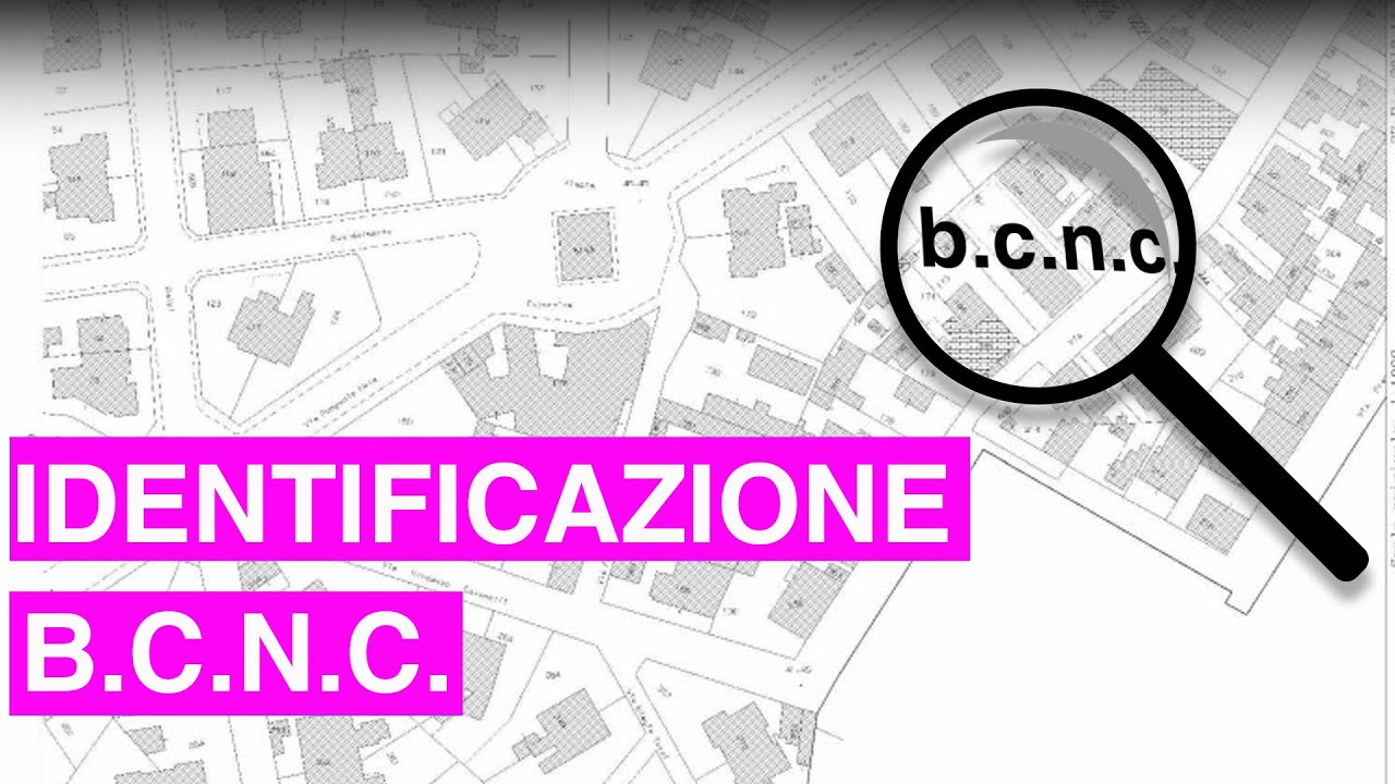 Tutorial DOCFA - IDENTIFICAZIONE di B.C.N.C.