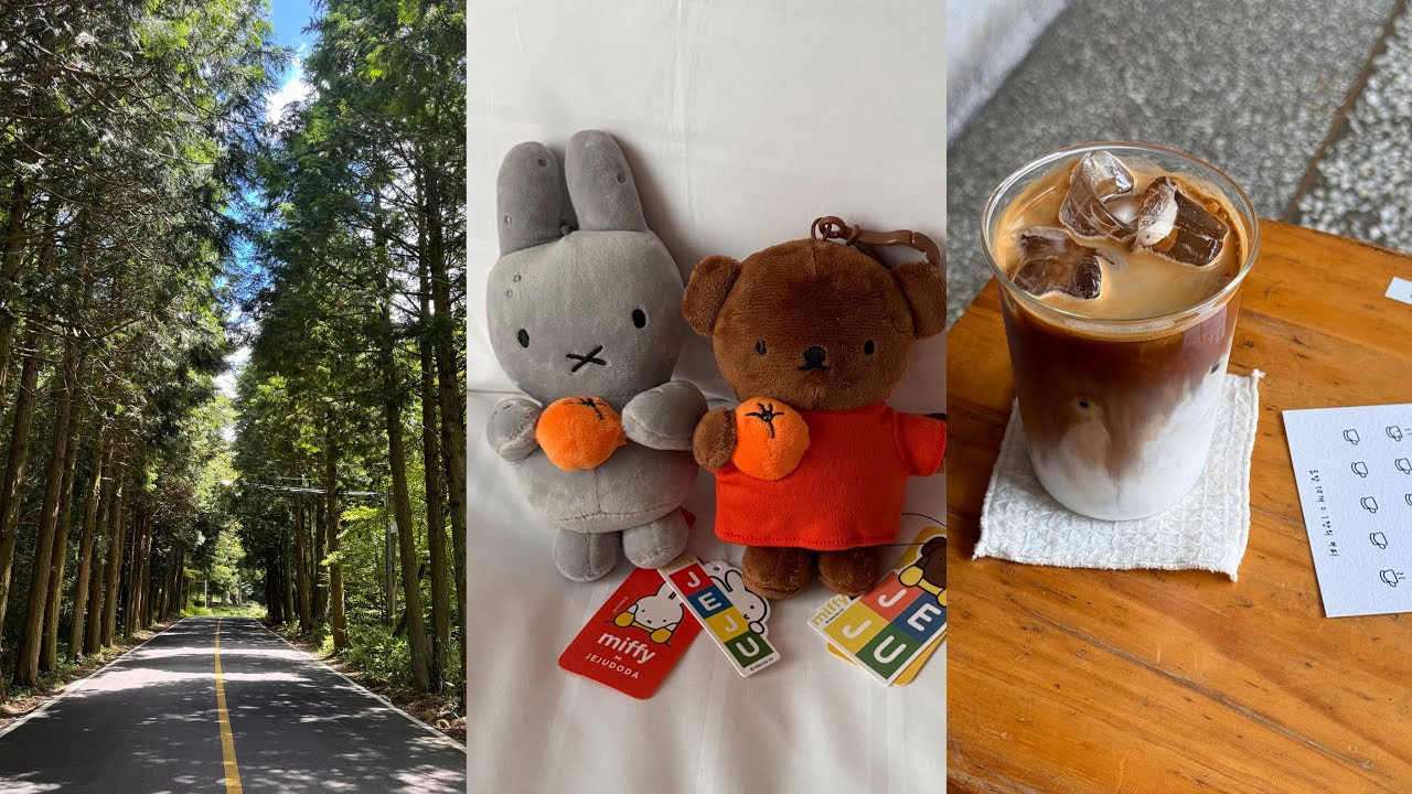 제주도가 고향인 사람의 2박 3일 제주도 여행 🌴