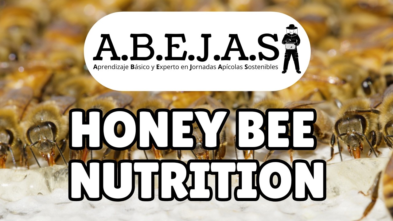 Honey Bee Nutrition (ABEJAS Module 1.3)