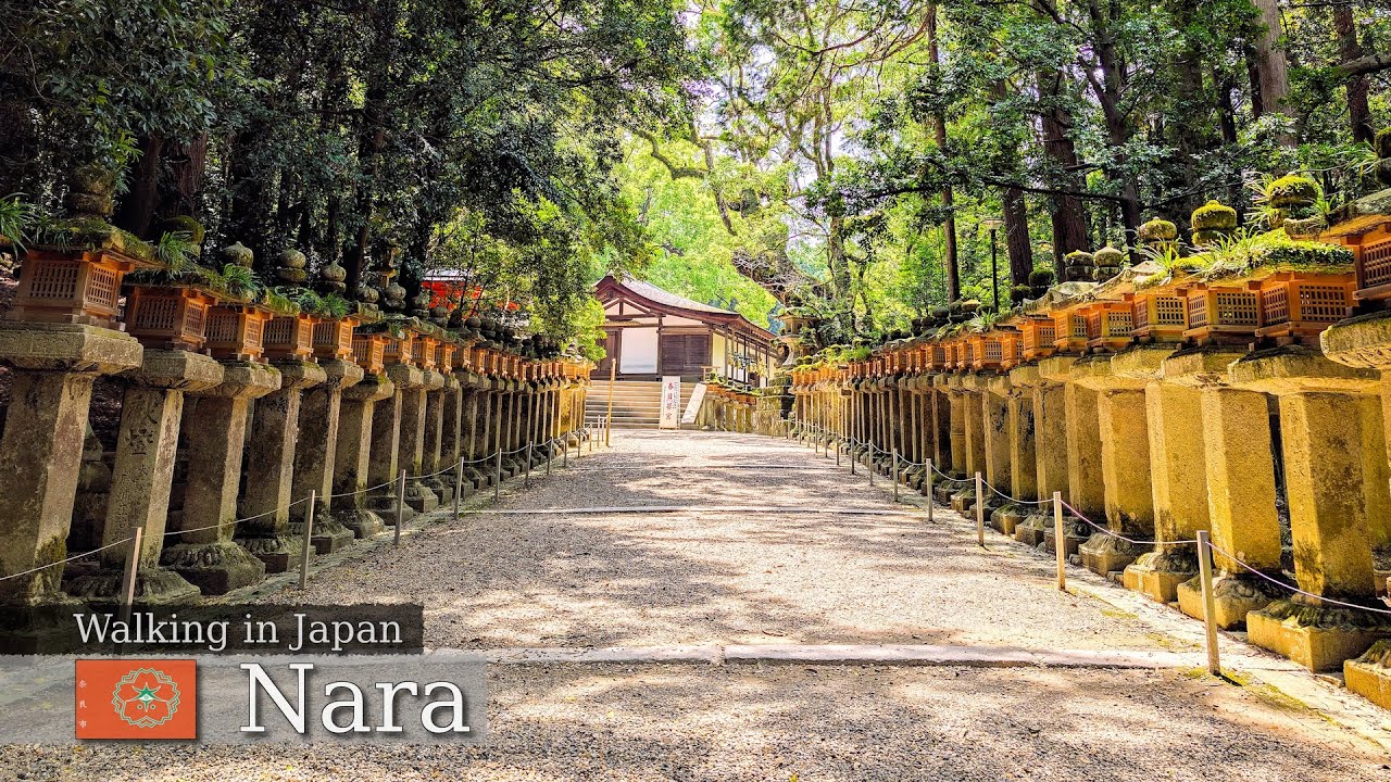 Nara | Peaceful Early Morning Walk Before the Tourists Arrive