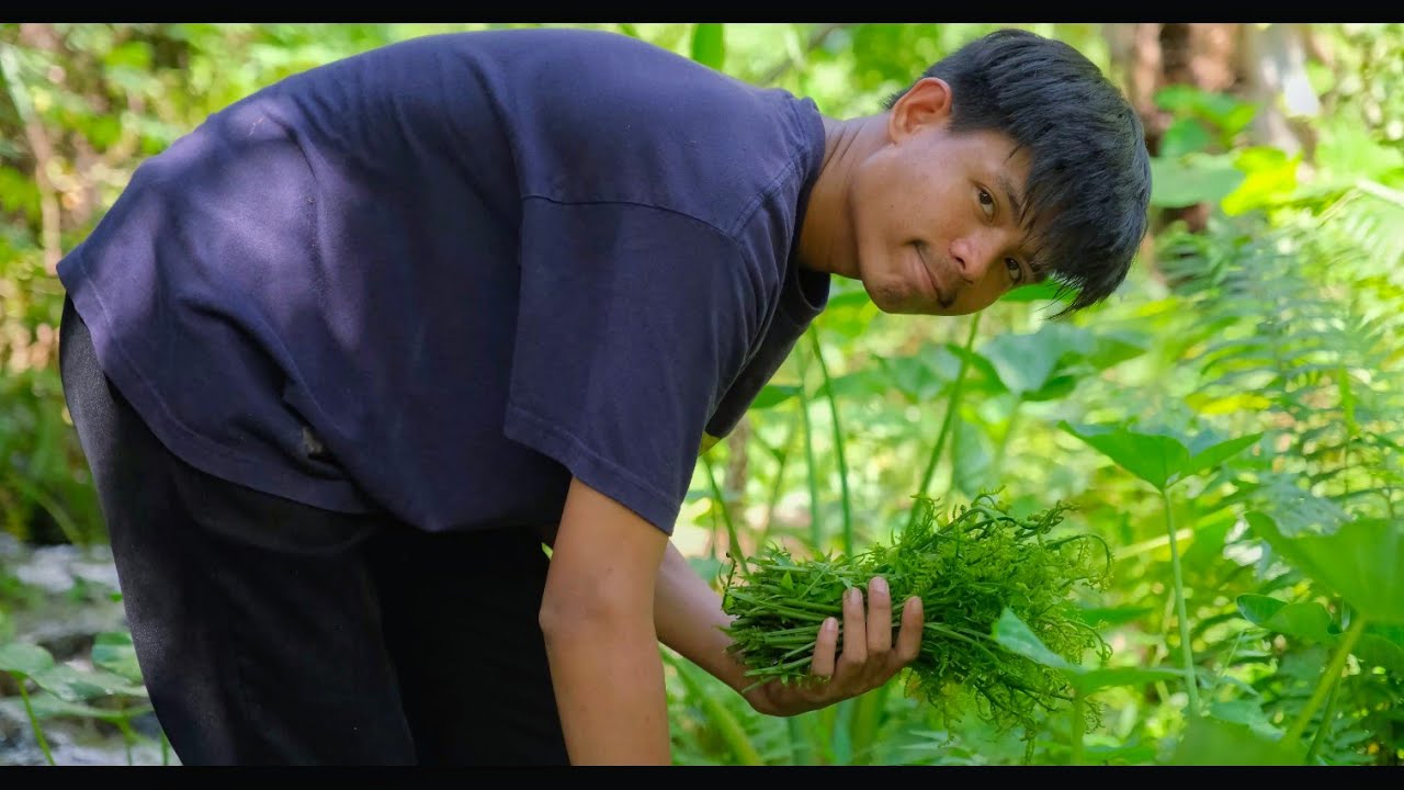 Cooking what nature gives me! Pako(edible fern) and more!