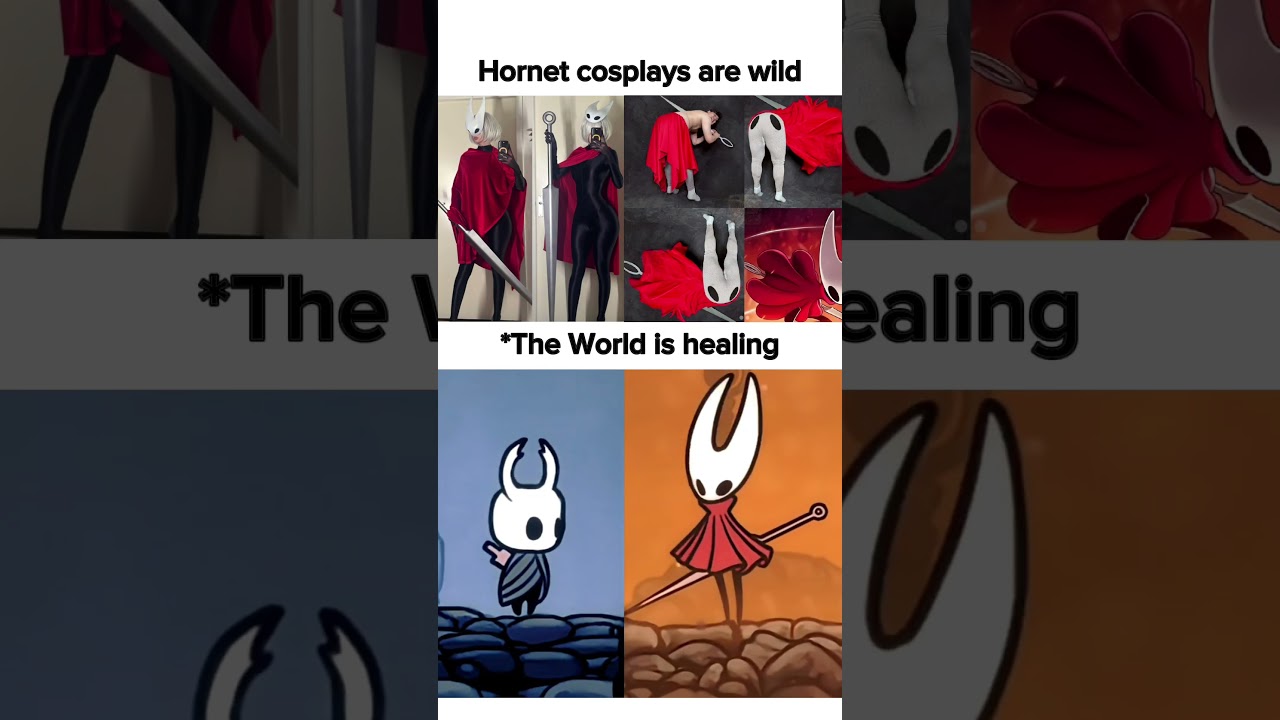 Hollow knight silksong cosplays are best #hollowknight #silksong #gaming