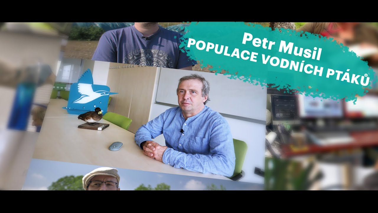 FŽP PRO V&Aacute;S #5 &ndash; Populace vodn&iacute;ch pt&aacute;ků | Petr Musil