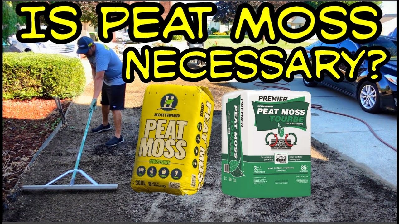 Peat Moss for Renovations 🌱 A Comprehensive Guide and Experimental Analysis (Peat Moss Benefits)