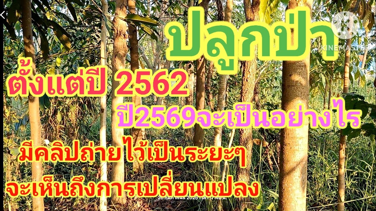 ปลูกป่า ตั้งแต่ปี'62 ในปี'69จะเปลี่ยนแปลงอย่างไร