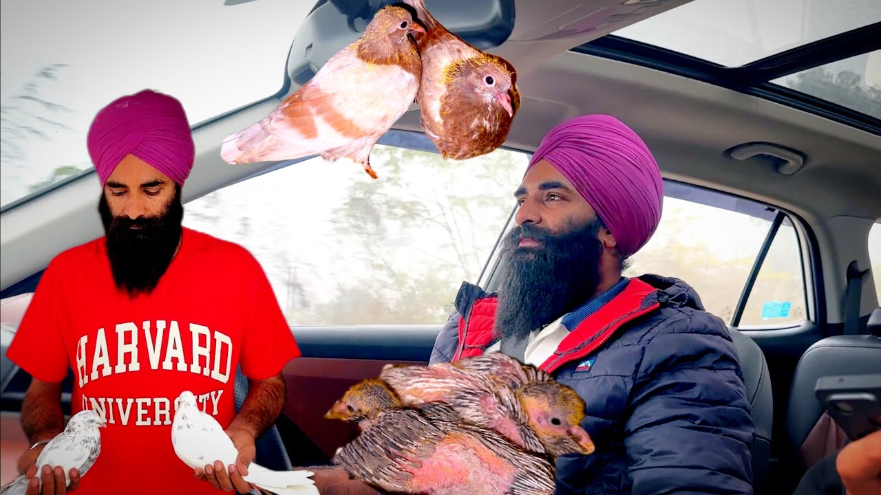 ਇਸ ਤਰੀਕੇ ਨਾਲ਼ ਜੌੜਾ ਲਾਕੇ ਨੀਲ਼ੇ ਤੇ ਰੱਤੇ ਬੱਚੇ ਕਡਾ ਸੱਕਦੇ ਆਂ 