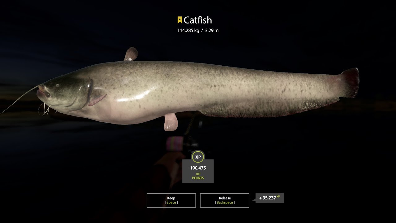 Russian Fishing 4 Trophy Catfish